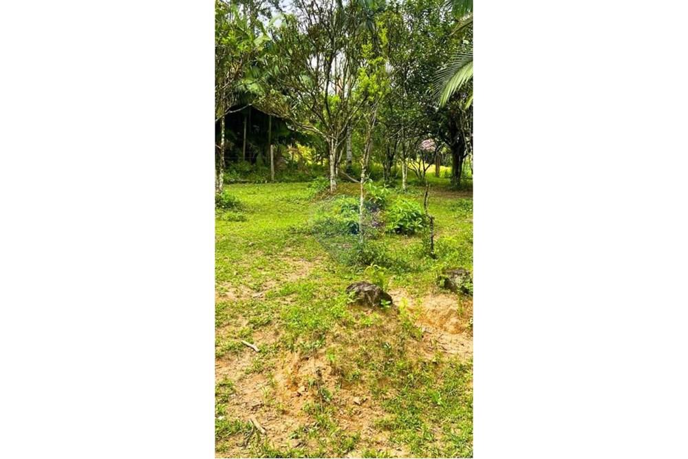 Chácara / Sítio / Fazenda - Venda - Jaraguá do Sul , Santa Catarina - WhatsApp Image 2025-09-16 at 09.32.35 (5).jpeg - 590451031-26