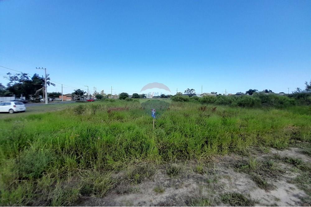 Terreno - Venda - Santa Rosa do Sul , Santa Catarina - 20250425_142206.jpg - 590491005-9