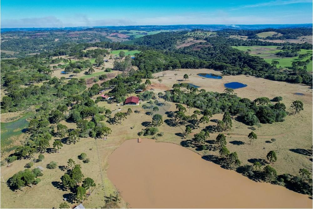 Chácara / Sítio / Fazenda - Venda - Capão Alto , Santa Catarina - DJI_0004.jpg - 590071002-440