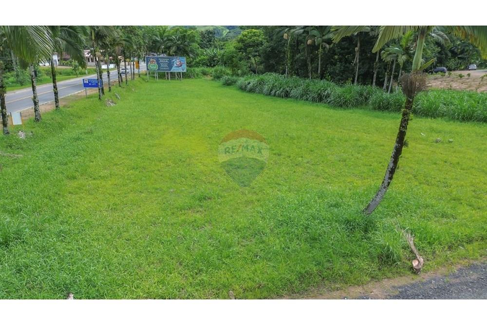 Terreno - Venda - Benedito Novo , Santa Catarina - Imagem do WhatsApp de 2025-02-14 à(s) 13.13.56_17da0a27.jpg - 590211007-95