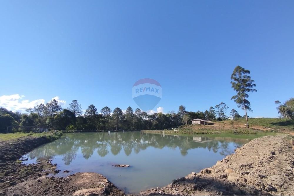 Chácara / Sítio / Fazenda - Venda - Benedito Novo , Santa Catarina - IMG-20241028-WA0380.jpg - 590301027-92