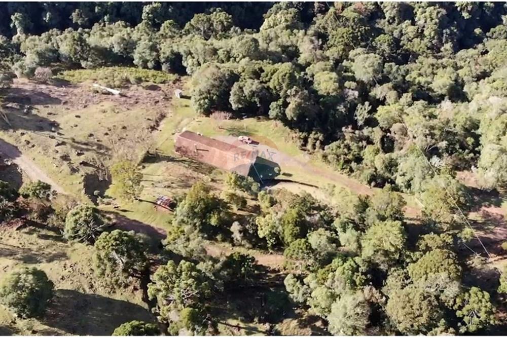 Chácara / Sítio / Fazenda - Venda - Capão Alto , Santa Catarina - WhatsApp Image 2025-07-16 at 2.09.04 PM (1).jpeg - 590071044-10