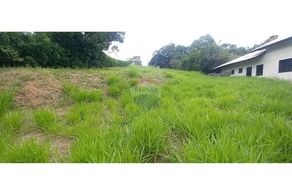 Terreno - Venda - Rodeio , Santa Catarina - WhatsApp Image 2025-05-13 at 14.24.11.jpeg - 590211033-57