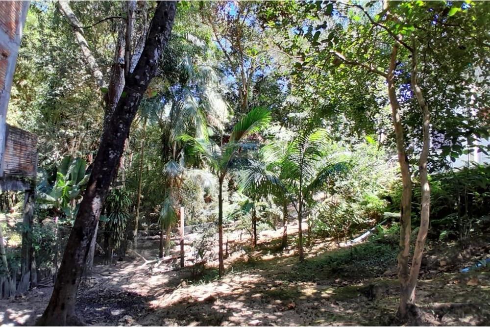 Terreno - Venda - Gravatal , Santa Catarina - WhatsApp Image 2025-10-20 at 17.47.38 (2).jpeg - 590461027-11