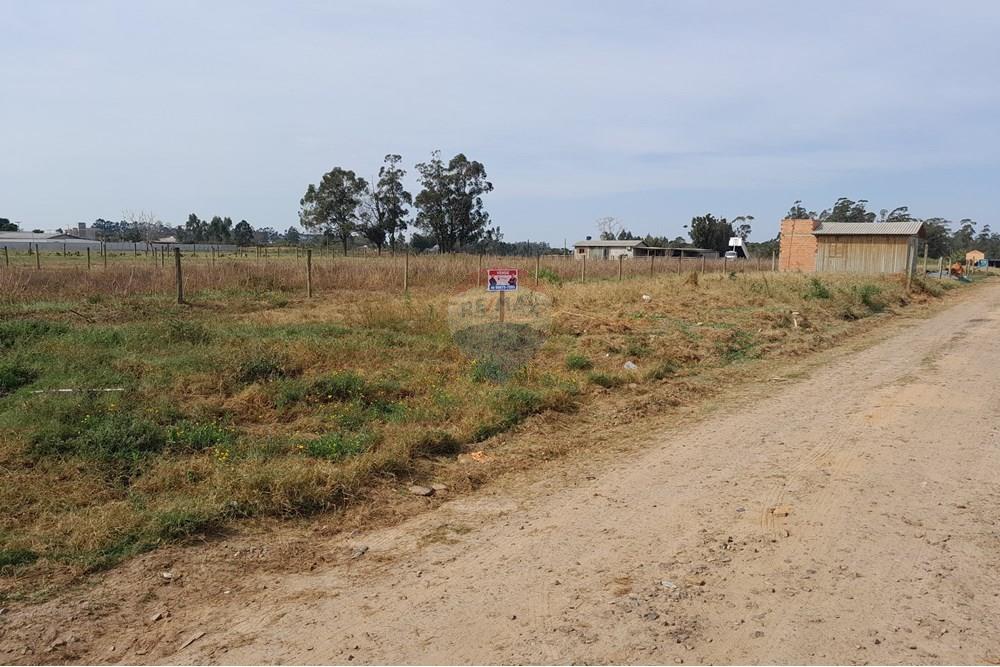 Terreno - Venda - Santa Rosa do Sul , Santa Catarina - 20250726_125836.jpg - 590491005-20