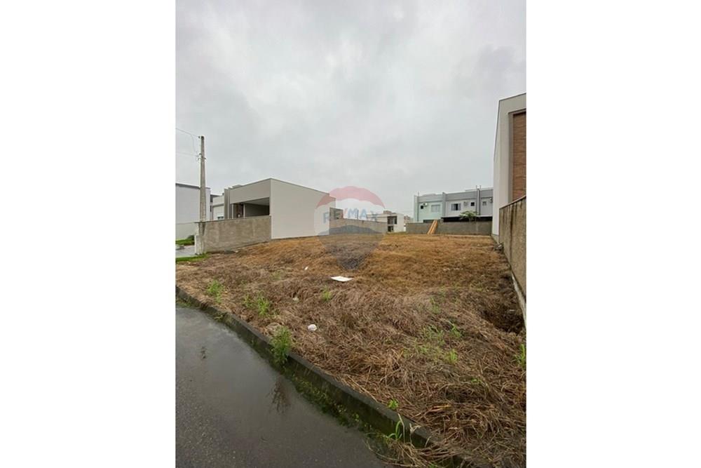 Terreno - Venda - Jaraguá do Sul , Santa Catarina - WhatsApp Image 2025-06-02 at 15.02.29 (10).jpeg - 590451031-3