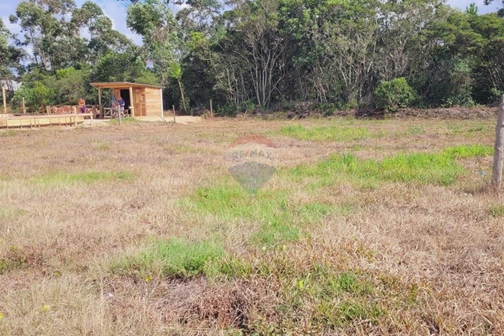 Terreno - Venda - Balneário Gaivota , Santa Catarina - 20250410_102949.jpg - 590491002-29