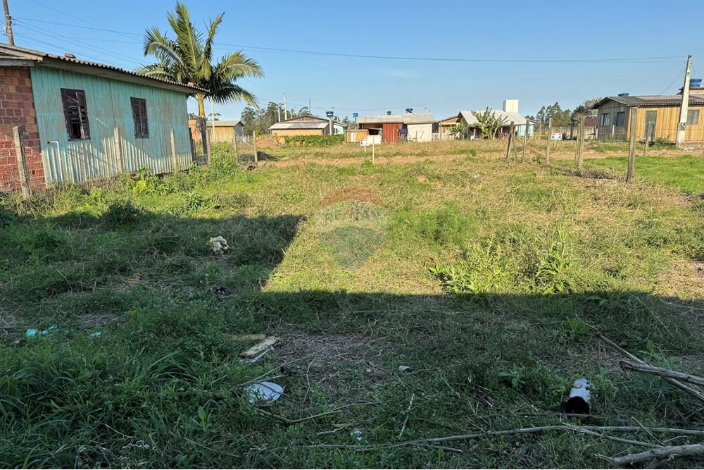 Terreno - Venda - Santa Rosa do Sul , Santa Catarina - IMG_7353.jpg - 590491012-2