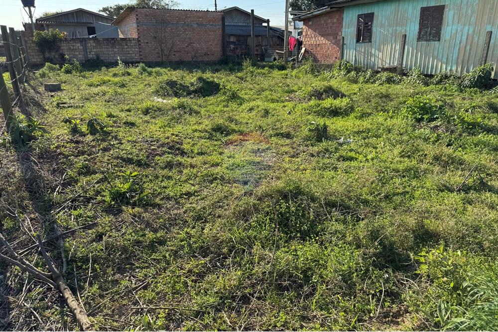 Terreno - Venda - Santa Rosa do Sul , Santa Catarina - IMG_7344.jpg - 590491012-2