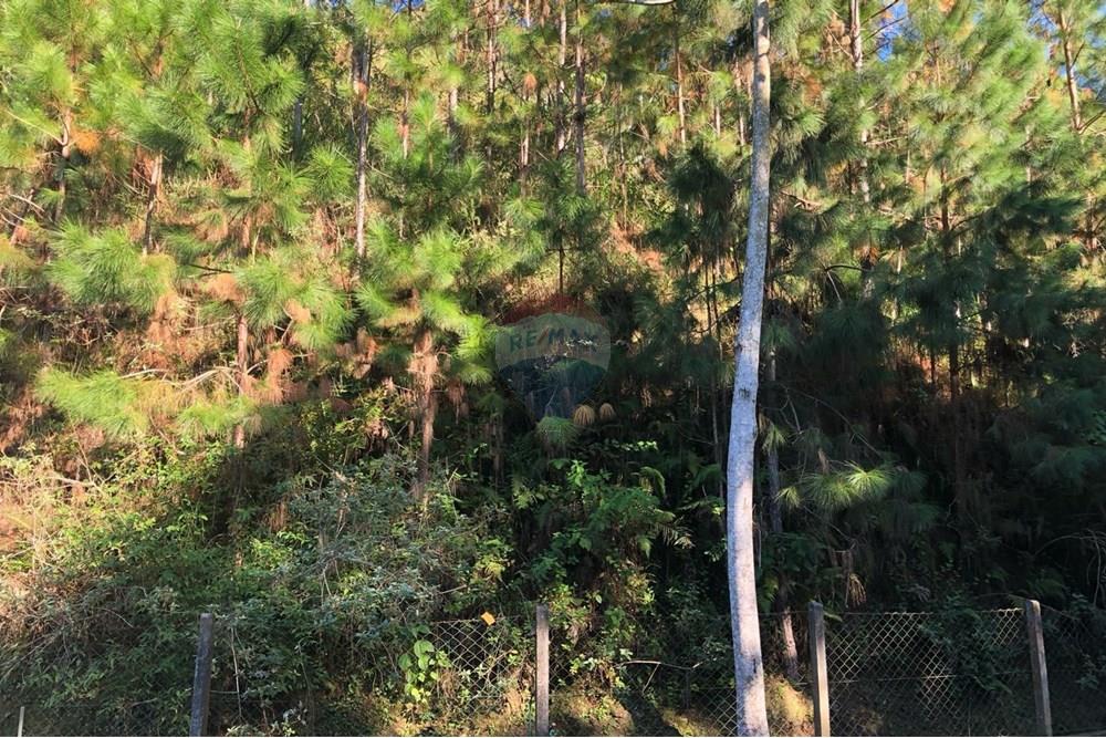 Chácara / Sítio / Fazenda - Venda - Timbó , Santa Catarina - FOTO 10 - .JPG - 590211051-38