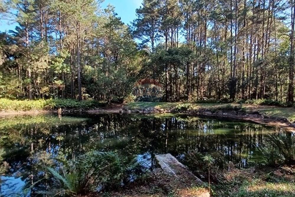 Terreno - Venda - Florianópolis , Santa Catarina - PHOTO-2025-05-15-17-03-22 (1).jpg - 590101001-59