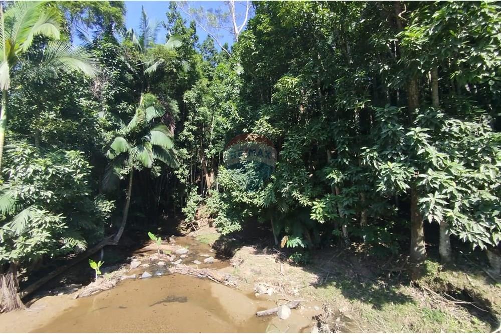 Chácara / Sítio / Fazenda - Venda - Indaial , Santa Catarina - WhatsApp Image 2025-04-23 at 14.49.16.jpeg - 590301044-30