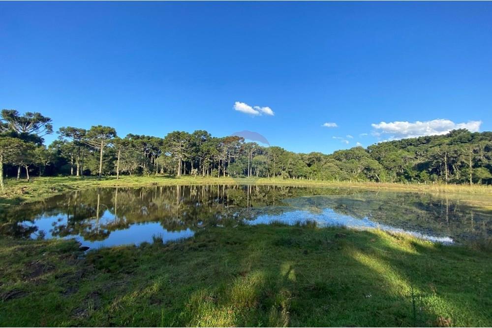 Chácara / Sítio / Fazenda - Venda - Painel , Santa Catarina - WhatsApp Image 2025-05-09 at 11.33.23 (4).jpeg - 590071044-16