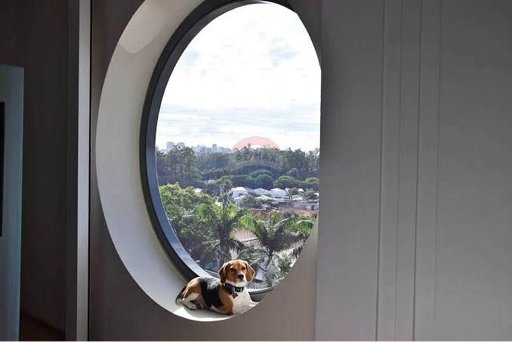 Apartamento - Venda - Itajaí , Santa Catarina - 8c142c21-07f4-4cf8-971c-d964e63024bd.JPG - 590231138-137