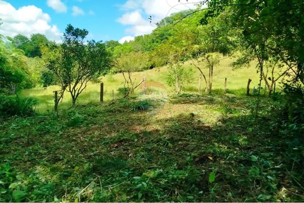 Chácara / Sítio / Fazenda - Venda - Indaial , Santa Catarina - WhatsApp Image 2025-04-04 at 15.05.18 (2).jpeg - 590301044-30