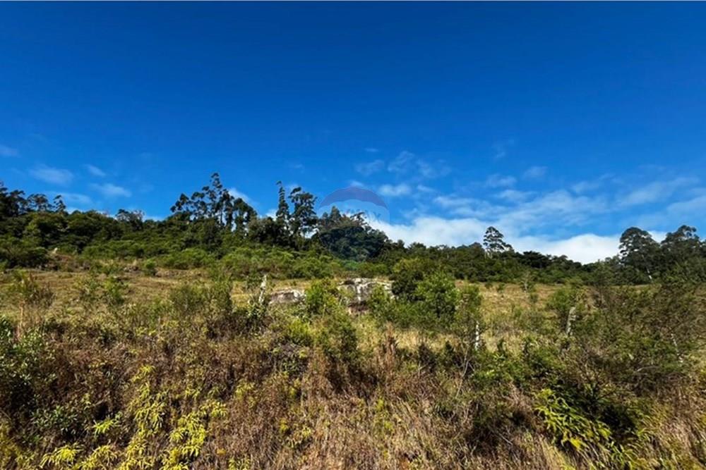 Terreno - Venda - Sombrio , Santa Catarina - WhatsApp Image 2025-06-11 at 17.25.48 (1).jpeg - 590491002-67