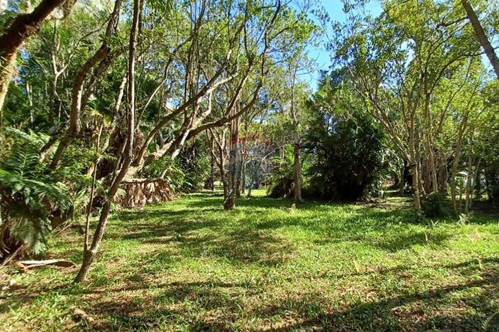 Terreno - Venda - Florianópolis , Santa Catarina - PHOTO-2025-05-15-17-03-26 (2).jpg - 590101001-59