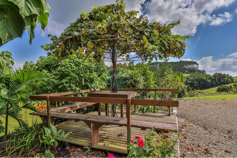 Chácara / Sítio / Fazenda - Venda - Petrolândia , Santa Catarina - WhatsApp Image 2025-02-26 at 16.59.27 (14).jpeg - 590211017-125