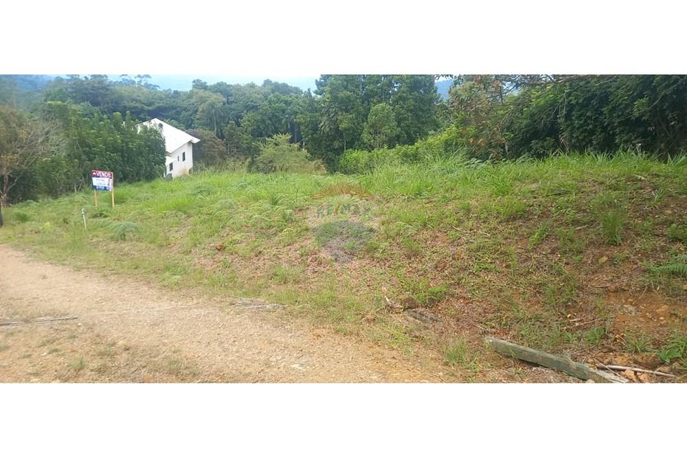 Terreno - Venda - Rodeio , Santa Catarina - WhatsApp Image 2025-05-13 at 14.24.14 (2).jpeg - 590211033-57