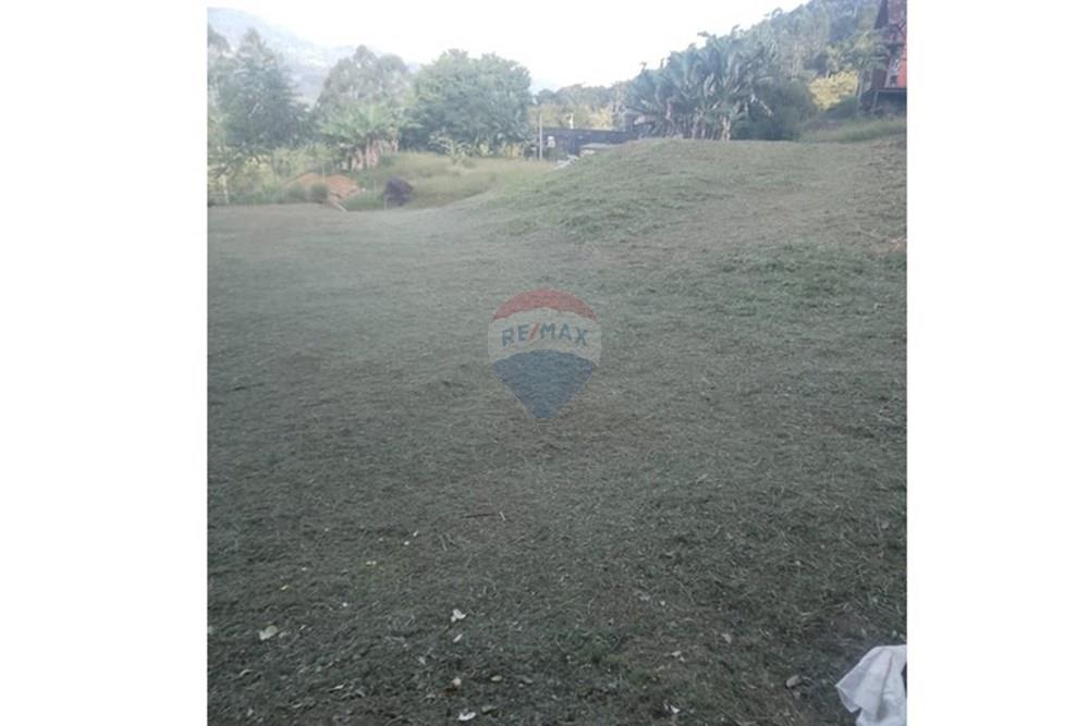 Terreno - Venda - Rodeio , Santa Catarina - FOTO 01 - .JPG - 590211051-23