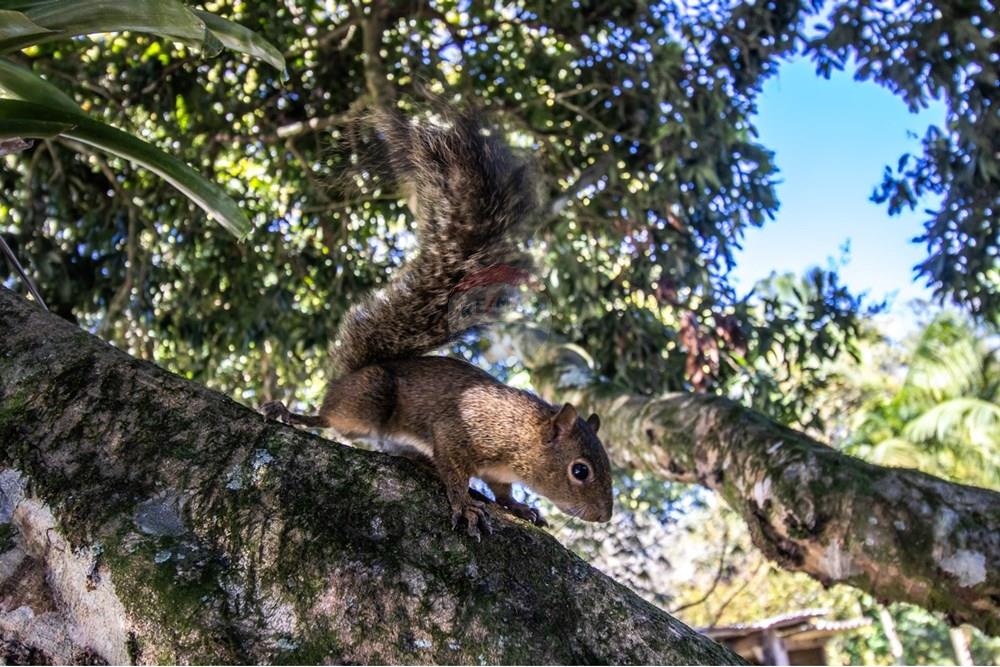 Casa - Venda - Indaial , Santa Catarina - WhatsApp Image 2025-09-10 at 20.39.54 (1).jpeg - 590211017-156