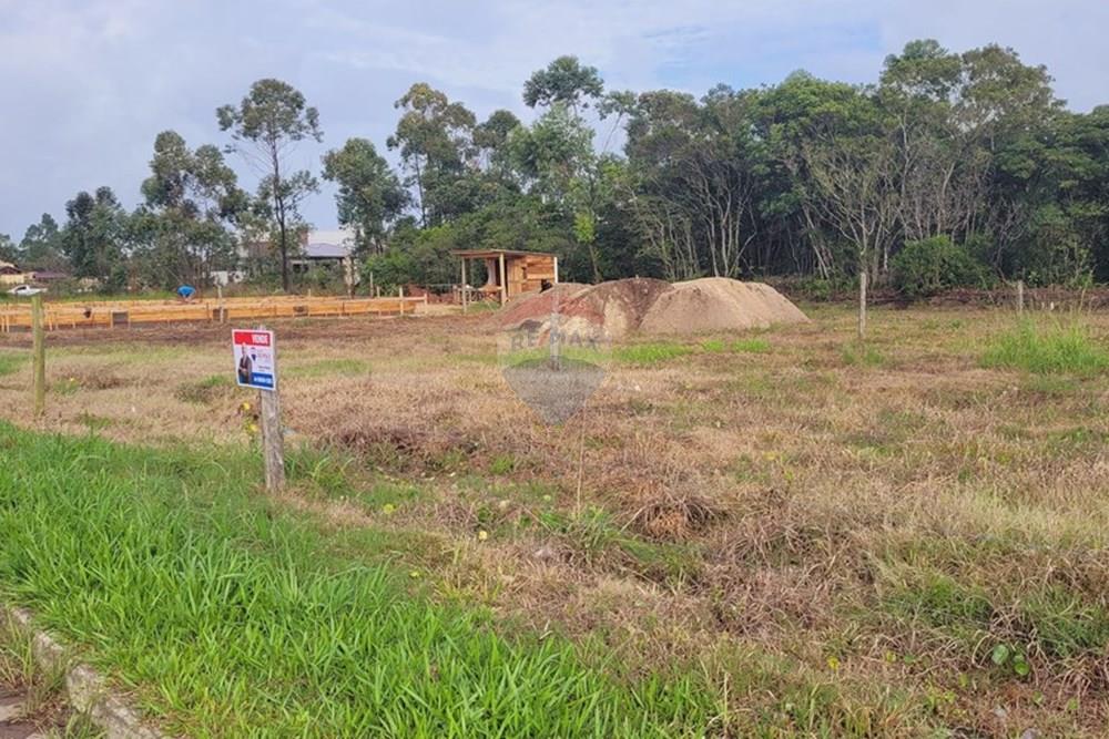 Terreno - Venda - Balneário Gaivota , Santa Catarina - 20250411_085339.jpg - 590491002-30
