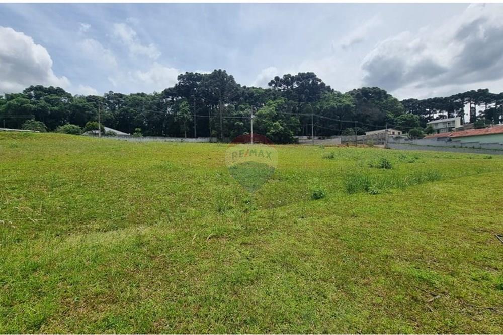 Terreno - Venda - Campo Largo , Paraná - f5a8f9c1-c6bc-4000-9c6f-12be72d333dd (1).JPG - 590481021-29