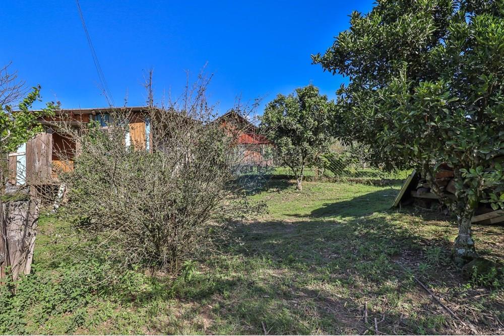 Chácara / Sítio / Fazenda - Venda - Doutor Pedrinho , Santa Catarina - WhatsApp Image 2025-09-09 at 21.20.50.jpeg - 590211064-3