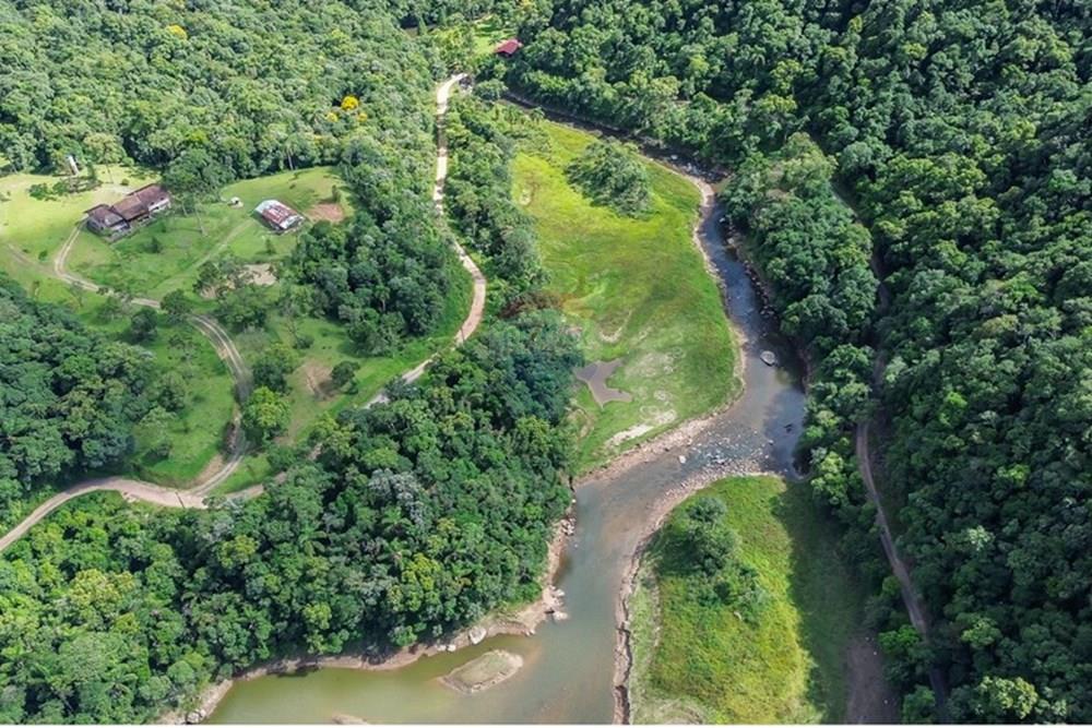 Terreno - Venda - Rio dos Cedros , Santa Catarina - FOTO 02 PRO - .JPG - 590211051-13