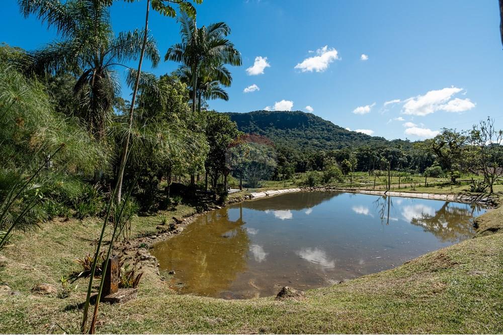 Chácara / Sítio / Fazenda - Venda - Benedito Novo , Santa Catarina - _DSC3927.jpg - 590301034-14