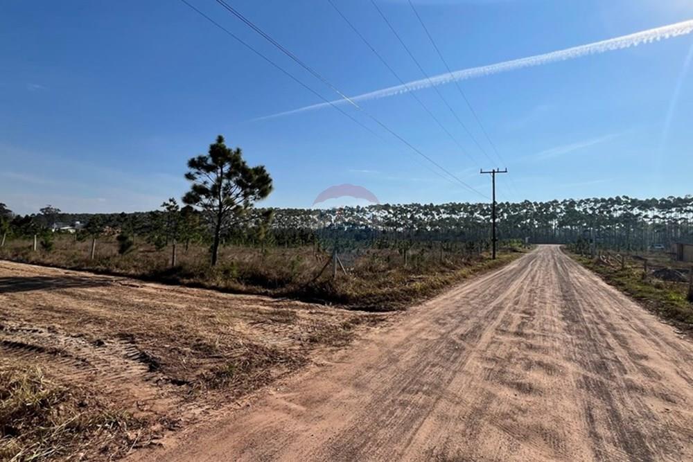 Terreno - Venda - Balneário Gaivota , Santa Catarina - IMG_3310.jpg - 590491009-6