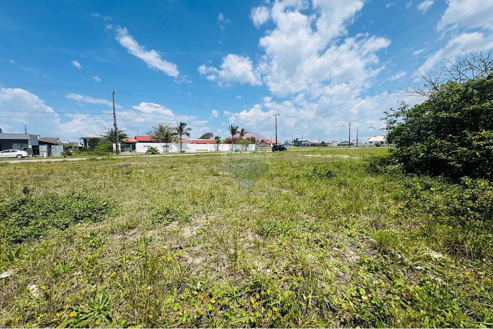 Terreno - Venda - Araranguá , Santa Catarina - IMG_9175.jpeg - 590491012-18