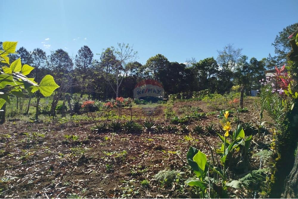 Chácara / Sítio / Fazenda - Venda - Benedito Novo , Santa Catarina - IMG-20241028-WA0104.jpg - 590301027-92