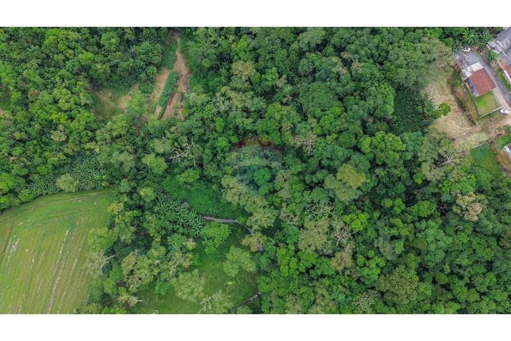 Terreno - Venda - Timbó , Santa Catarina - a4f2c247-09fe-4f3a-b9da-c2bc6d55b153.jpg - 590211007-99