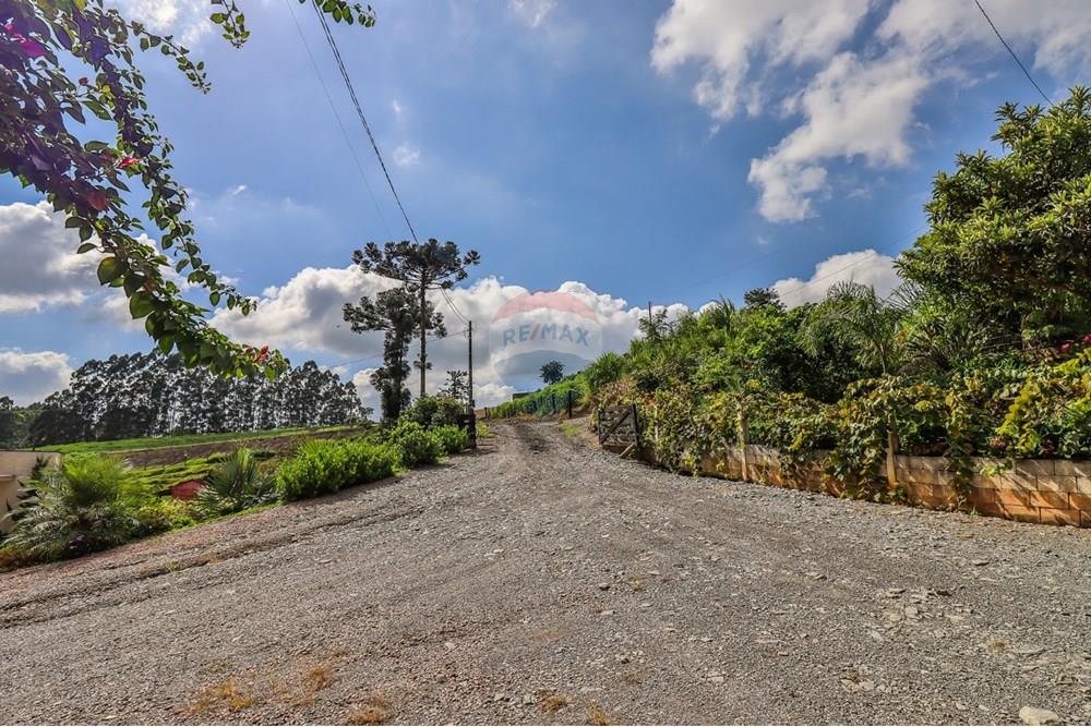 Chácara / Sítio / Fazenda - Venda - Petrolândia , Santa Catarina - WhatsApp Image 2025-02-26 at 16.59.27 (12).jpeg - 590211017-125