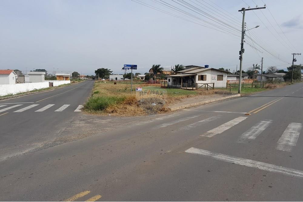 Terreno - Venda - Santa Rosa do Sul , Santa Catarina - 20250726_133640.jpg - 590491005-21