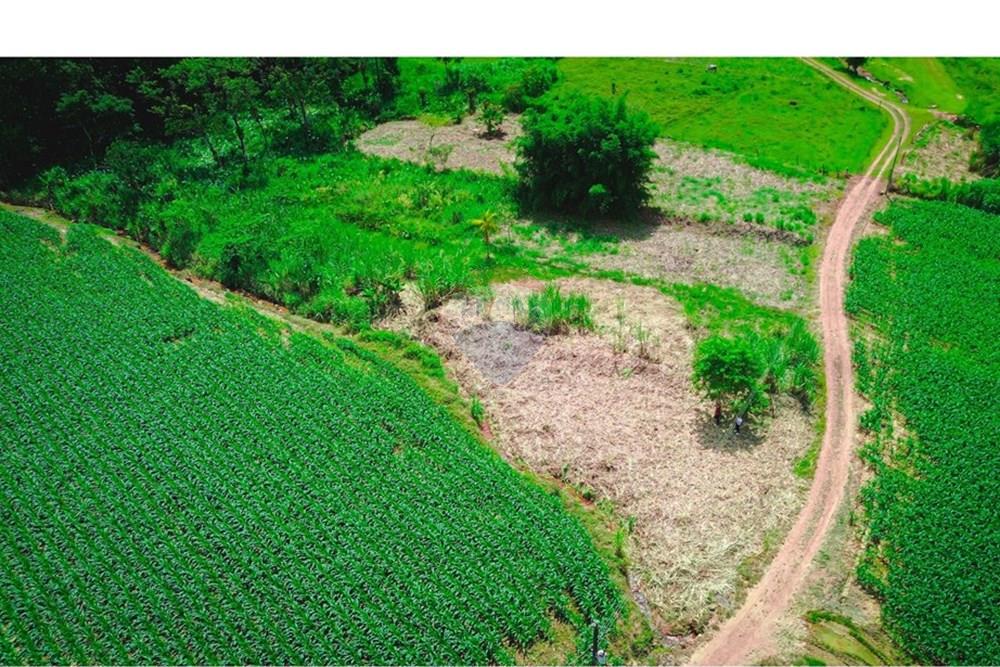 Terreno - Venda - Rio dos Cedros , Santa Catarina - DJI_0052.jpg - 590211035-40