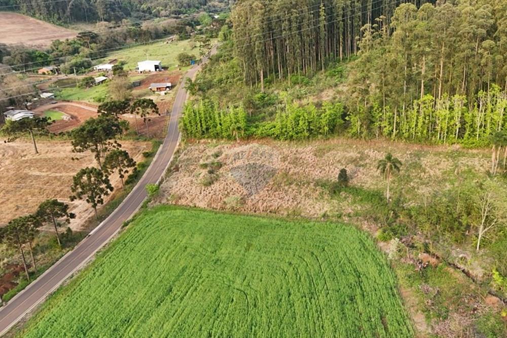 Chácara / Sítio / Fazenda - Venda - Xaxim , Santa Catarina - DJI_20250929172510_0188_D.JPG - 590421024-5