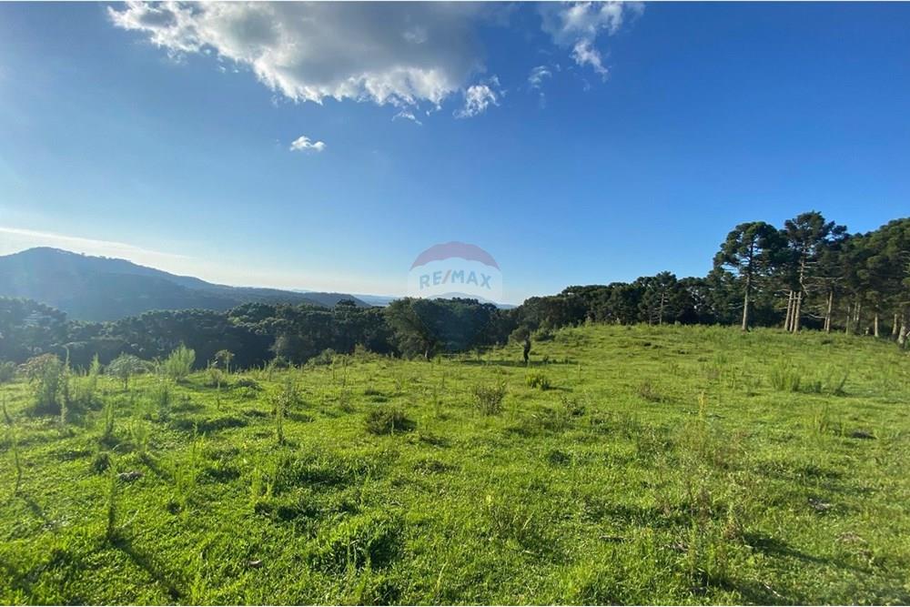 Chácara / Sítio / Fazenda - Venda - Painel , Santa Catarina - WhatsApp Image 2025-05-09 at 11.33.25.jpeg - 590071044-16