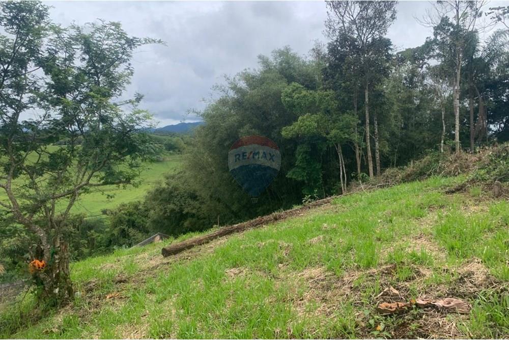 Terreno - Venda - Itajaí , Santa Catarina - WhatsApp Image 2025-11-02 at 11.43.05 AM.jpeg - 590531040-1