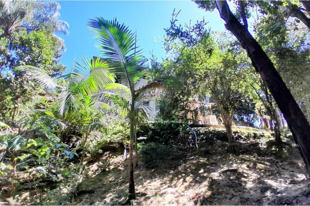 Terreno - Venda - Gravatal , Santa Catarina - WhatsApp Image 2025-10-20 at 17.47.37 (1).jpeg - 590461027-11