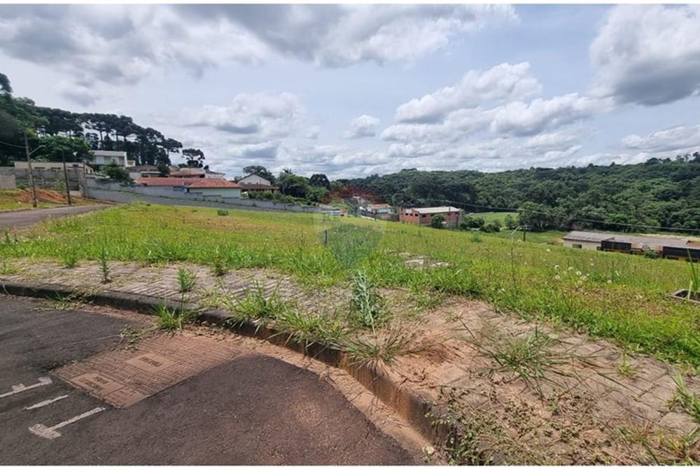Terreno - Venda - Campo Largo , Paraná - a30a365c-47f6-46cf-9b60-8315458626de (1).JPG - 590481021-29