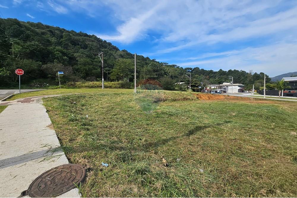 Terreno - Venda - Balneário Camboriú , Santa Catarina - 20250617_113755.jpg - 590231111-60