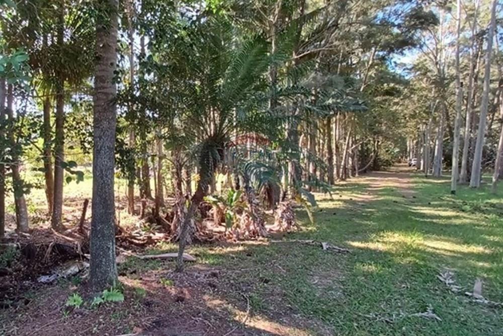 Terreno - Venda - Florianópolis , Santa Catarina - PHOTO-2025-05-15-17-03-17 (1).jpg - 590101001-59