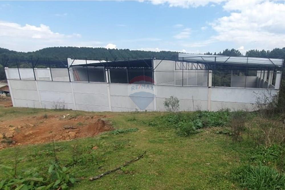 Galpão - Alugar - Lages , Santa Catarina - WhatsApp Image 2025-08-26 at 14.30.47 (4).jpeg - 590071036-102