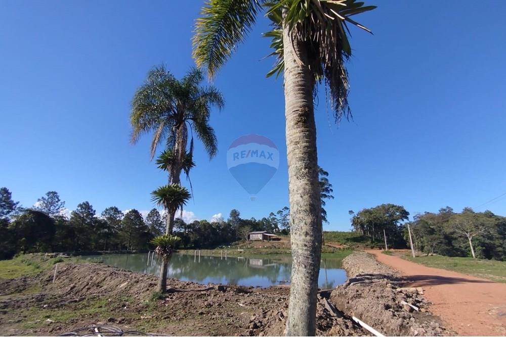 Chácara / Sítio / Fazenda - Venda - Benedito Novo , Santa Catarina - IMG-20241028-WA0391.jpg - 590301027-92