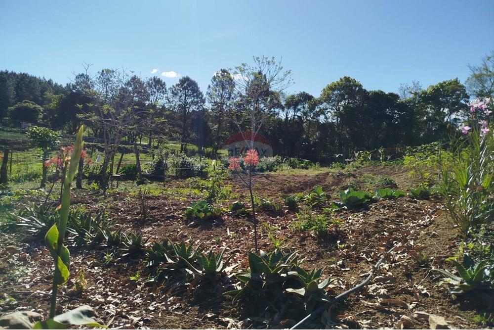 Chácara / Sítio / Fazenda - Venda - Benedito Novo , Santa Catarina - IMG-20241028-WA0369.jpg - 590301027-92