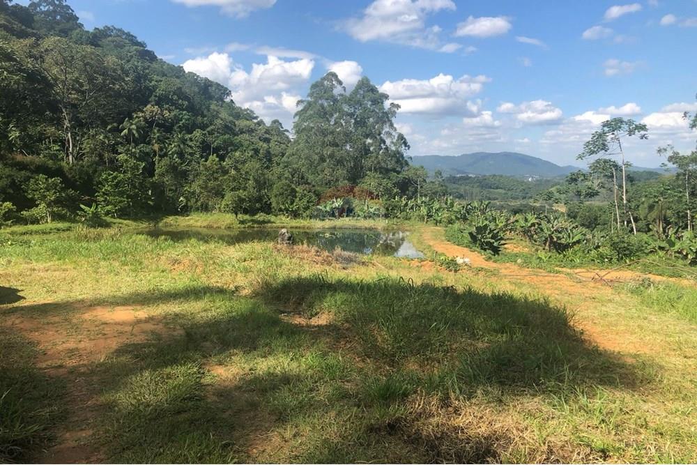 Terreno - Venda - Timbó , Santa Catarina - FOTO 05 - .JPG - 590211051-24