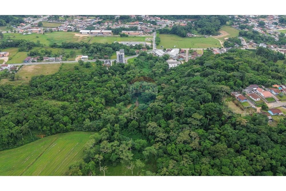 Terreno - Venda - Timbó , Santa Catarina - 22a74175-dfe5-4c65-b1ee-3b18e093778f.jpg - 590211007-99