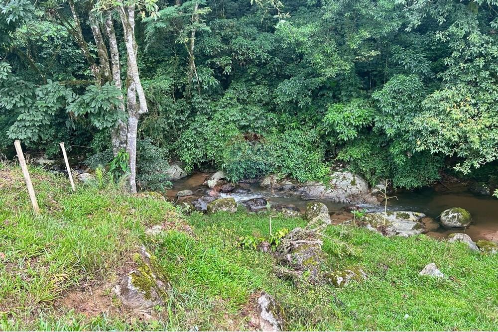 Terreno - Venda - Rio dos Cedros , Santa Catarina - 41115a3e-038e-4c19-8c26-37a59cfa7caa.jpeg - 590211035-43